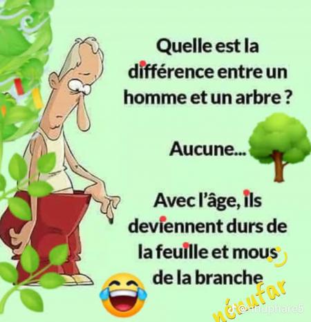 Mdrrr