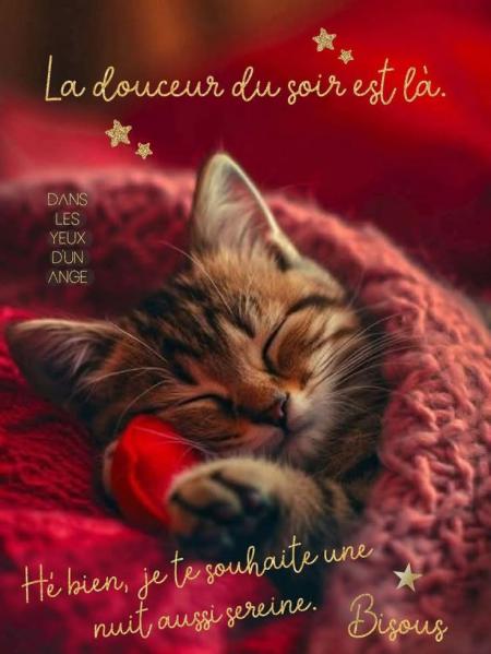 Bonne nuit