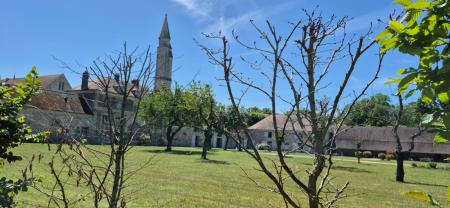 Royaumont