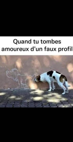 Mdrr