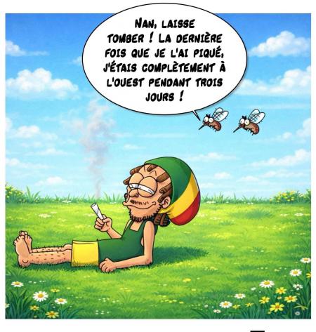 Mdrr