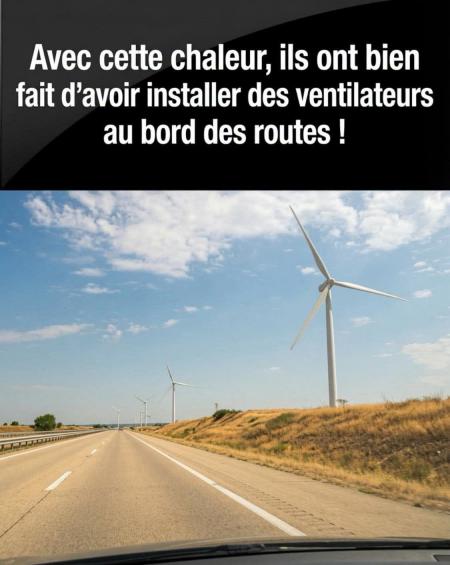 Oui