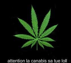 attention c'est illegal
