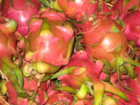 Dragon Fruits