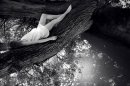 Magiicdreams