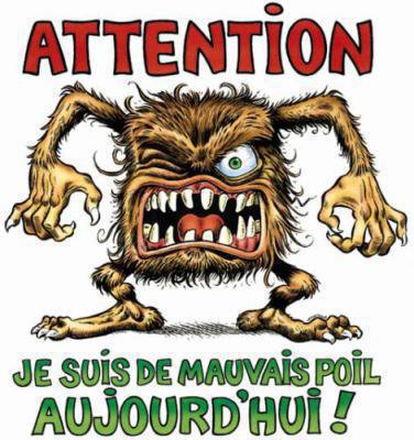 mise en bouche