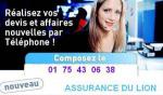 ASSURANCE AUTO MALUS ALCOOLEMIE MARSEILLE PARIS LYON LILLE. ASSURANCE DU LION 017543038