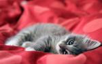 Bonjour venez visiter mon blog il est superbe