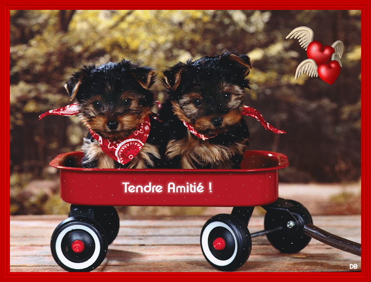 Mer&ccedil;i &agrave; mon amie Magalie pour cette adorable et trop belle cr&eacute;ation...
