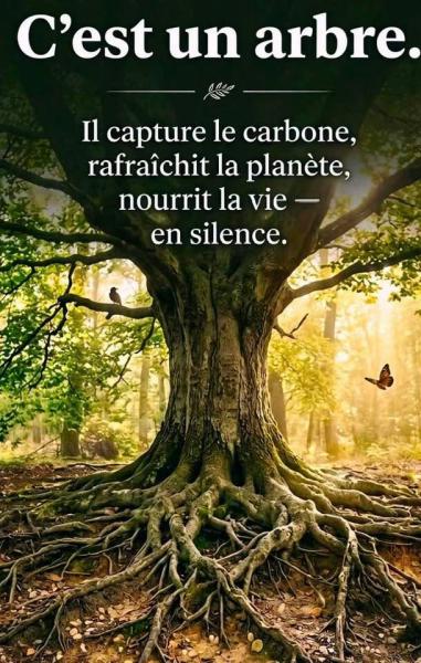 Bienfaits