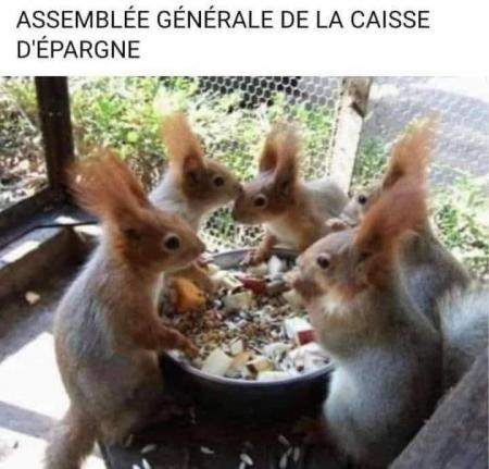 Mignon