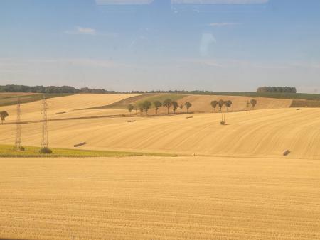 Vu du train