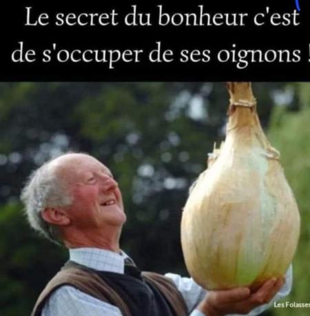 Oui