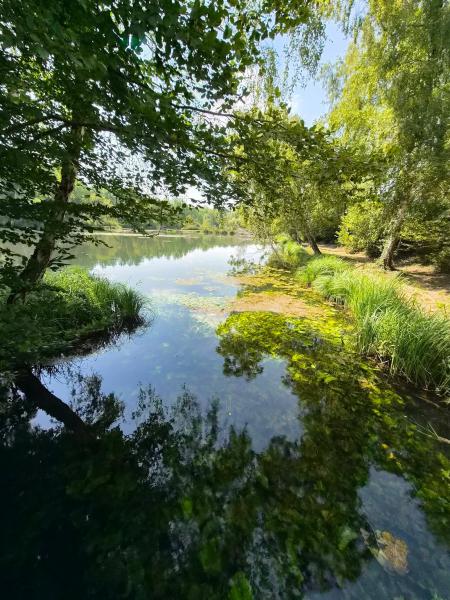 Reflets