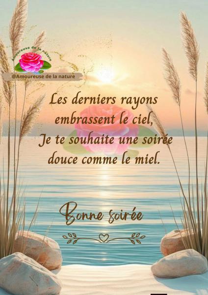 Bonne soiree