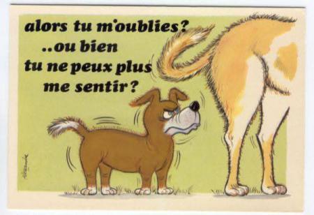 Mdrr