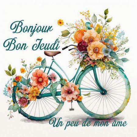 Bonjour 