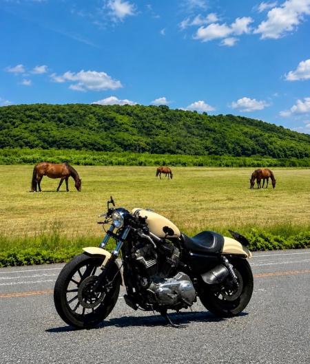 Harley-Davidson