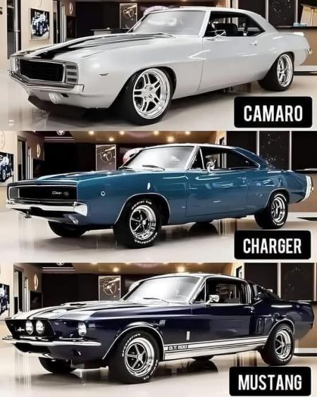 Top, Middle or Bottom ?