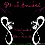 Pink-Snakes, elevages amteurs