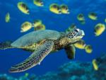 On peut ferm� les yeux sur la r�alit� mais pas sur les souvenirs...