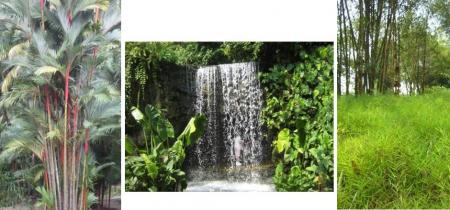 Jardin Botanique