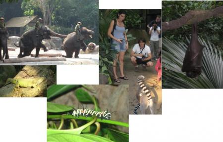 ZOO