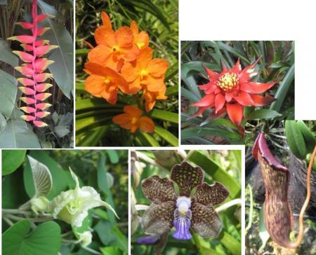 Botanic Garden