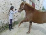 Ecurie_Love