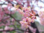MissX\'s blog