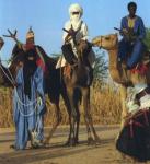 nigerfar