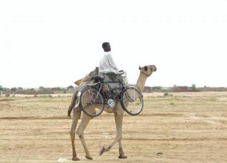 Velib ouvre au sahara