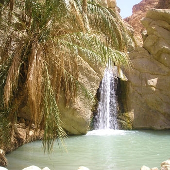 Tozeur (Cascade du sahara)