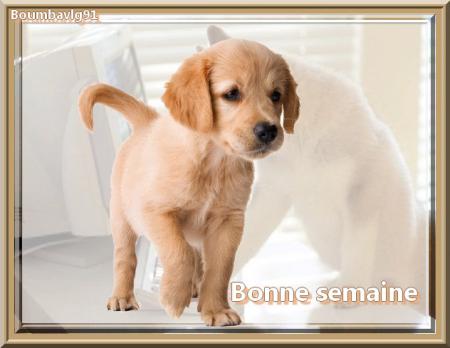Bisous...