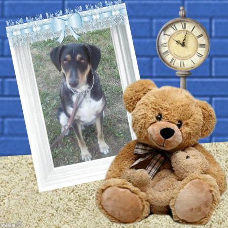 Un beau nounours pour notre tit Eliott...