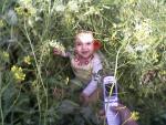 imad.hanae