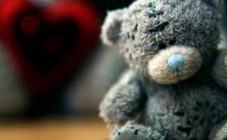 =$ i can'T Forget My sweeT teady Bear ...