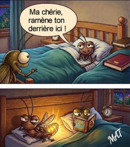 Oups