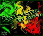 galsen en force