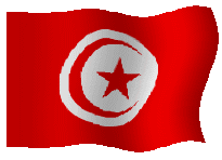 Histoire de la tunisie