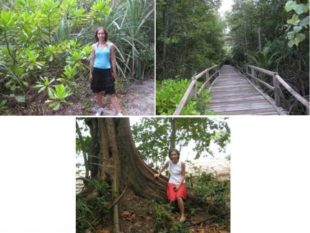 balade dans la jungle