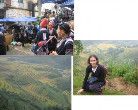 Sapa