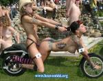 L�zard en terre happy!