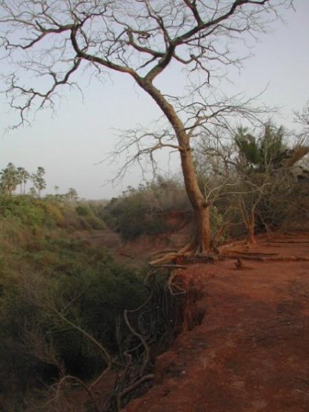 Photo du Niokolo Koba