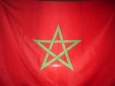 3almo biladi