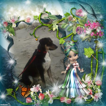 Des jolies fleurs et une petite princesse pour toi Eliott