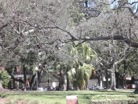Plaza Francia