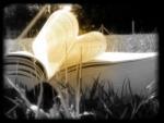 ... mes pens�es ...