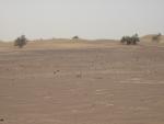 bouzianetours