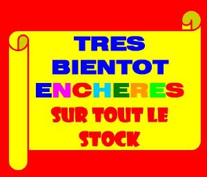 ENCHERES PEYNON SPORTS